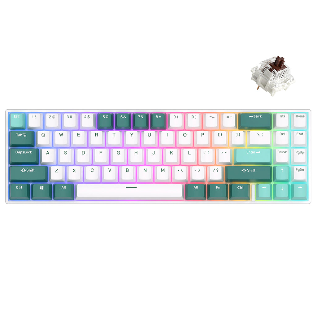 Royal Kludge RK71 RGB Hot Swappable Camp Green Brown Switch