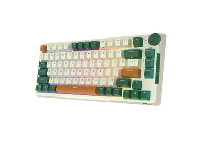 Royal Kludge RKH81 Bežična Mehanička Tastatura, Boja Time Machine (Hot-Swap) (RK Sky Cyan Prekidač)