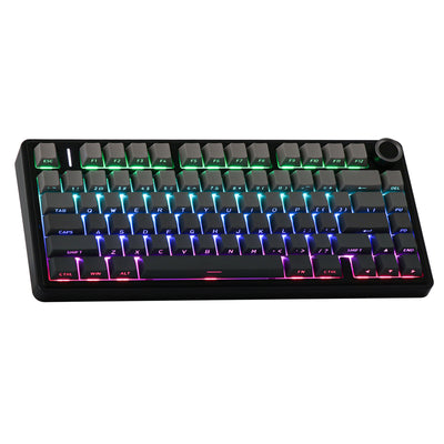 AULA F75, Hot-Swap, Gradient Black, Side Printed, Shine trought, RGB, Bežična, Crna, SP Reaper Prekidač