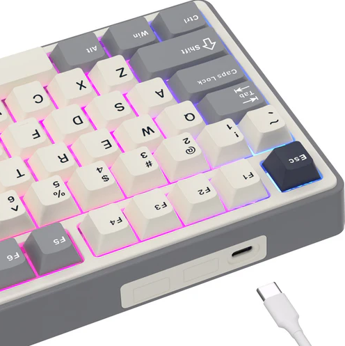 RoyalKludge R87 PRO TKL Wired Half Grey Gaming Keyboard - Brown Switch