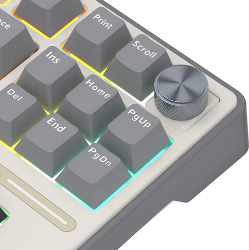 Royal Kludge R87 PRO TKL Žična Gejmerska Tastatura, Boja "Half Grey" - Braon Prekidač