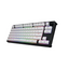 Hator Skyfall 80 MAG Ultra 8k Magnetic Keyboard Aurum Ice switch (magnetic, linear)