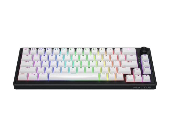 Hator skyfall 65 MAG ULTRA 8k Wired black Magnetical keyboard Aurum Ice Magnetic switch(magnetic, linear)