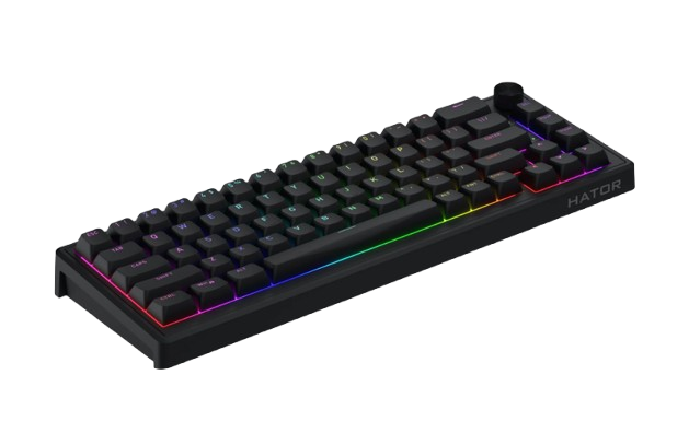 Hator Skyfall 65 Wired Mechanical Keyboard Hator Aurum Sterling switch (mechanical, linear
