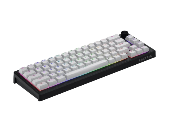 Hator skyfall 65 MAG ULTRA 8k Wired black Magnetical keyboard Aurum Ice Magnetic switch(magnetic, linear)