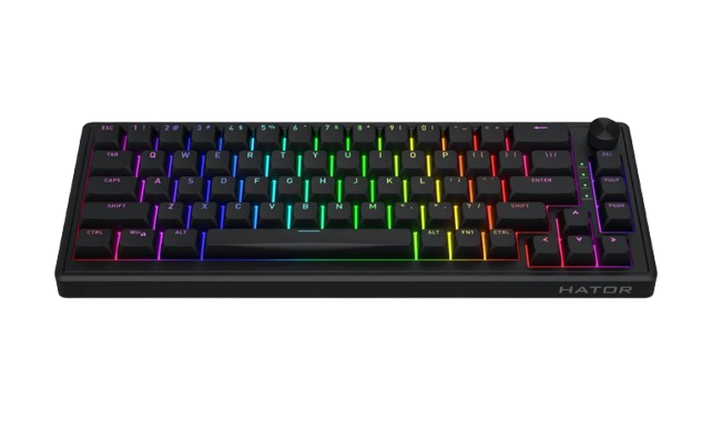 Hator Skyfall 65 Wired Mechanical Keyboard Hator Aurum Sterling switch (mechanical, linear