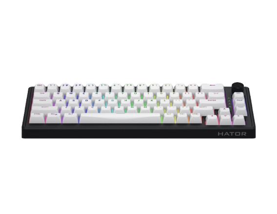 Hator skyfall 65 MAG ULTRA 8k Wired black Magnetical keyboard Aurum Ice Magnetic switch(magnetic, linear)