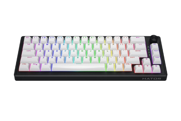 Hator Skyfall 65 wireless white Mechanical Keyboard Aurum Sterling switch(mechanical, linear)