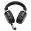 Hator Hypergang 3 USB Wired gaming headphones