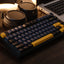 AULA F75 Black Ice Vien Switch