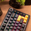 AULA F75 Black Ice Vien Switch