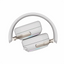 Royale Kludge RK HG101 Platinum Gray / Wireless / 2.4 ghz dongl / Bežične gejming slušalice / RGB