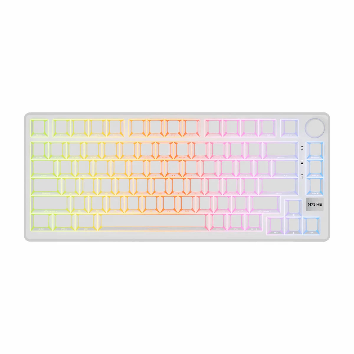 Royale Kludge M75 HE Aurora / Wired / 8000Hz Pooling Rate / Magnetic Mint Switch / Hotswap