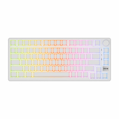 Royale Kludge M75 HE Aurora / Wired / 8000Hz Pooling Rate / Magnetic Mint Switch / Hot-Swap
