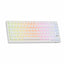 Royale Kludge M75 HE Aurora / Wired / 8000Hz Pooling Rate / Magnetic Mint Switch / Hotswap