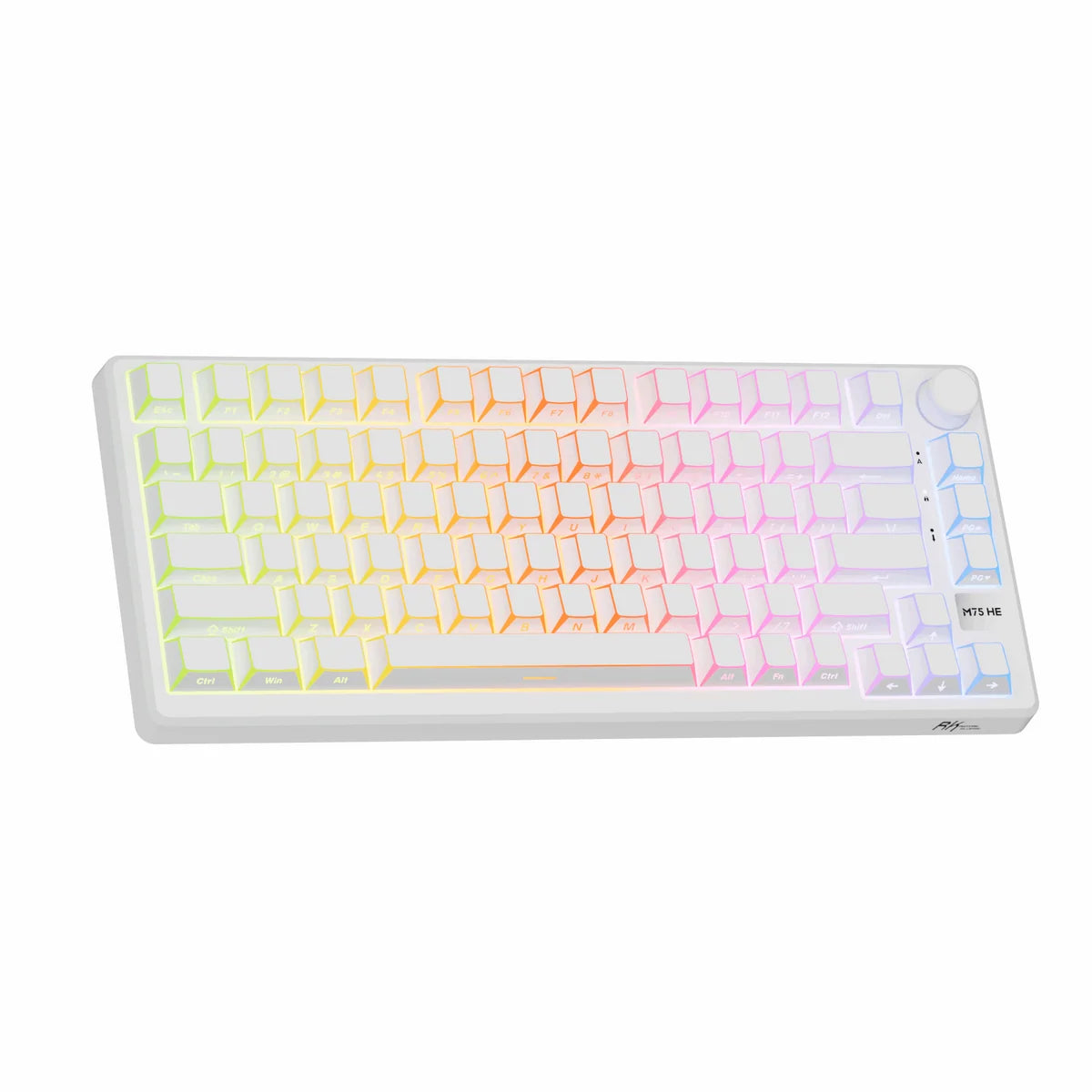 Royale Kludge M75 HE Aurora / Wired / 8000Hz Pooling Rate / Magnetic Mint Switch / Hotswap