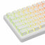 Royale Kludge M75 HE Aurora / Wired / 8000Hz Pooling Rate / Magnetic Mint Switch / Hotswap