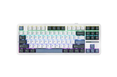 Aula F87 white+blue/Linear switch