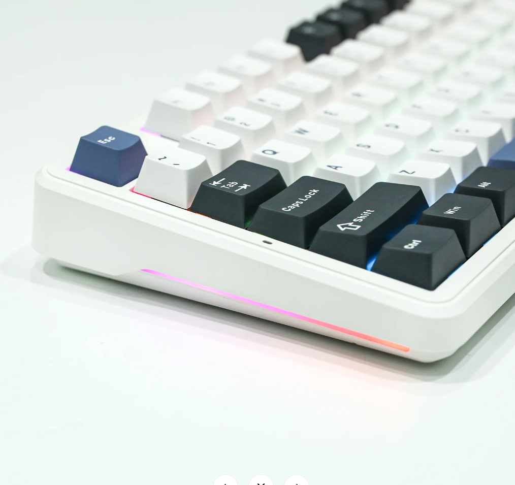 Aula F87 white+blue/Linear switch