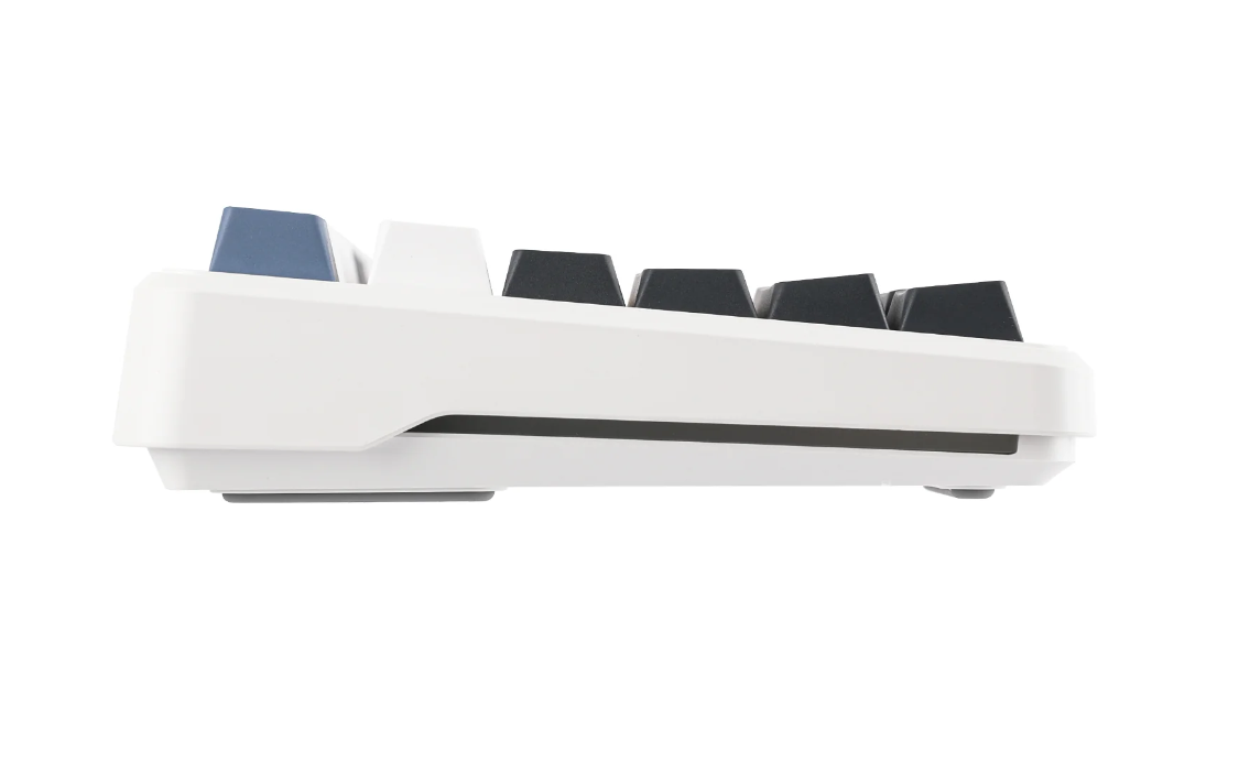 Aula F87 white+blue/Linear switch