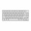 Royale Kludge M75 HE Aurora / Wired / 8000Hz Pooling Rate / Magnetic Mint Switch / Hotswap