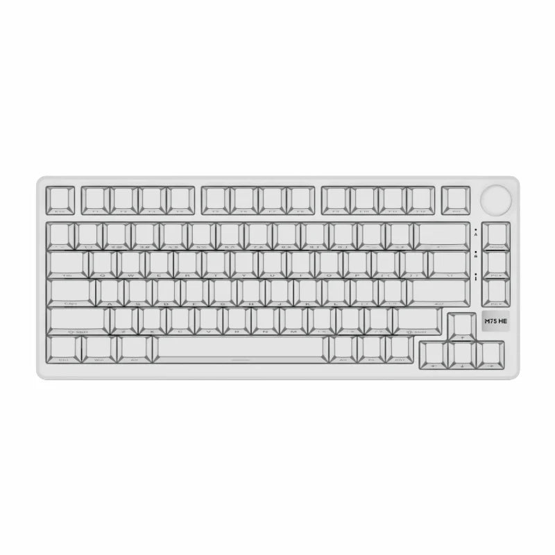 Royale Kludge M75 HE Aurora / Wired / 8000Hz Pooling Rate / Magnetic Mint Switch / Hotswap